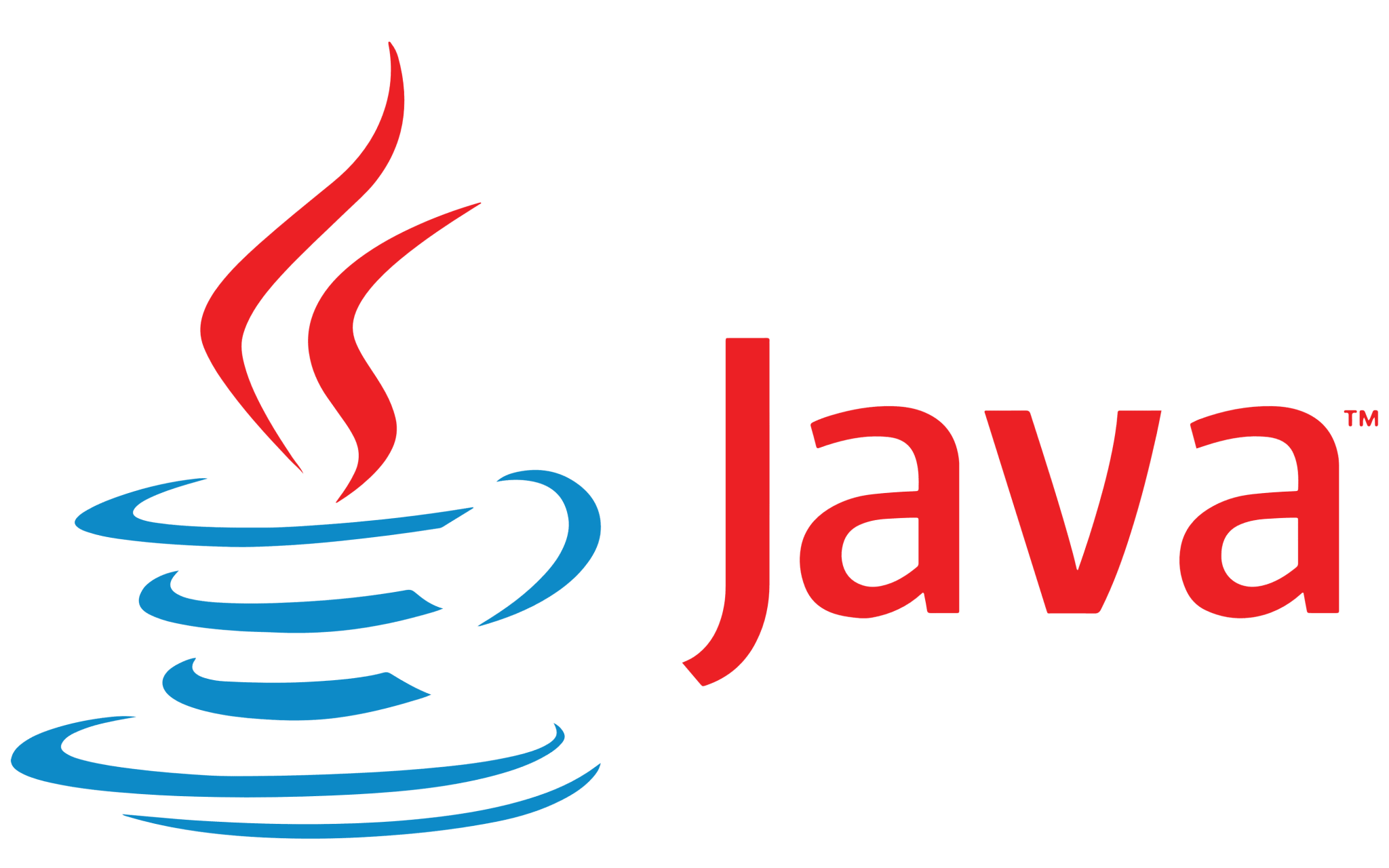 fastest programming language Java