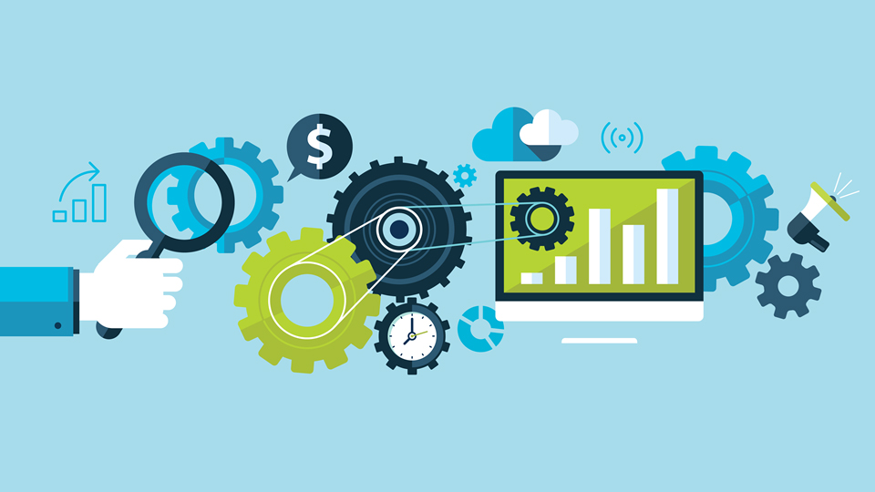 Organize regular meetings Manage Offshore QA Team
